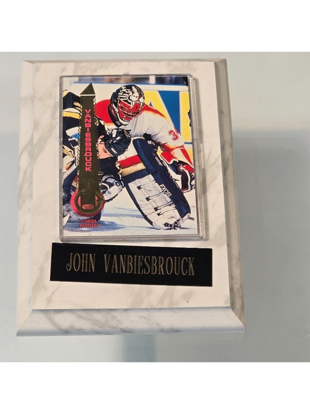 1994/95 Pinnacle Collection John Vanbiesbrouck Card #100 Goaltender FL Panthers